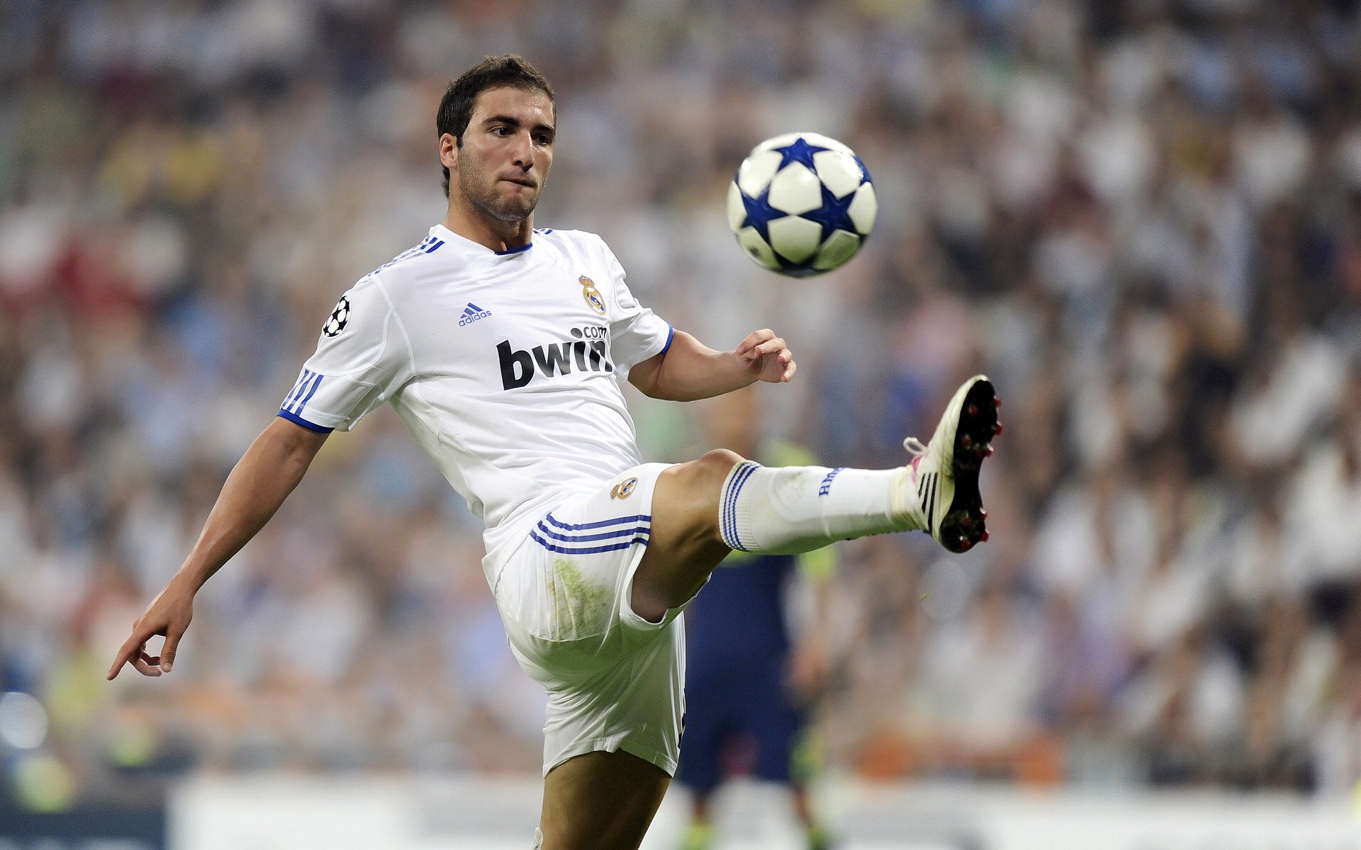 网球亲子亲友双打赛 小朋友负责发球大人负责跑动